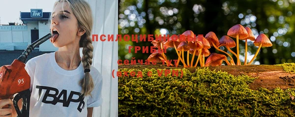 герыч Алзамай